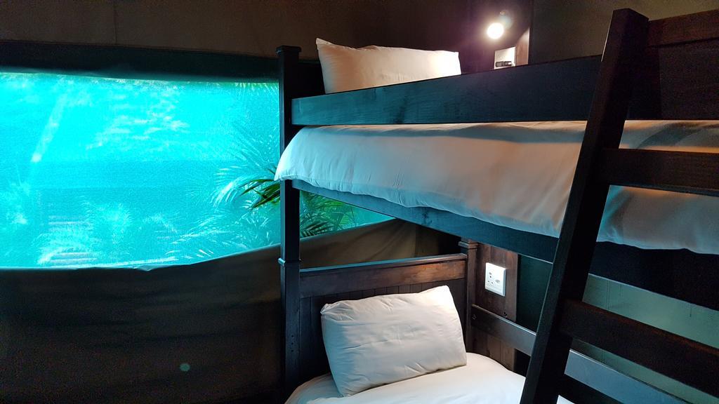 Saint Lucia Estuary Urban Glamping Tranquil International Backpacking Village מראה חיצוני תמונה